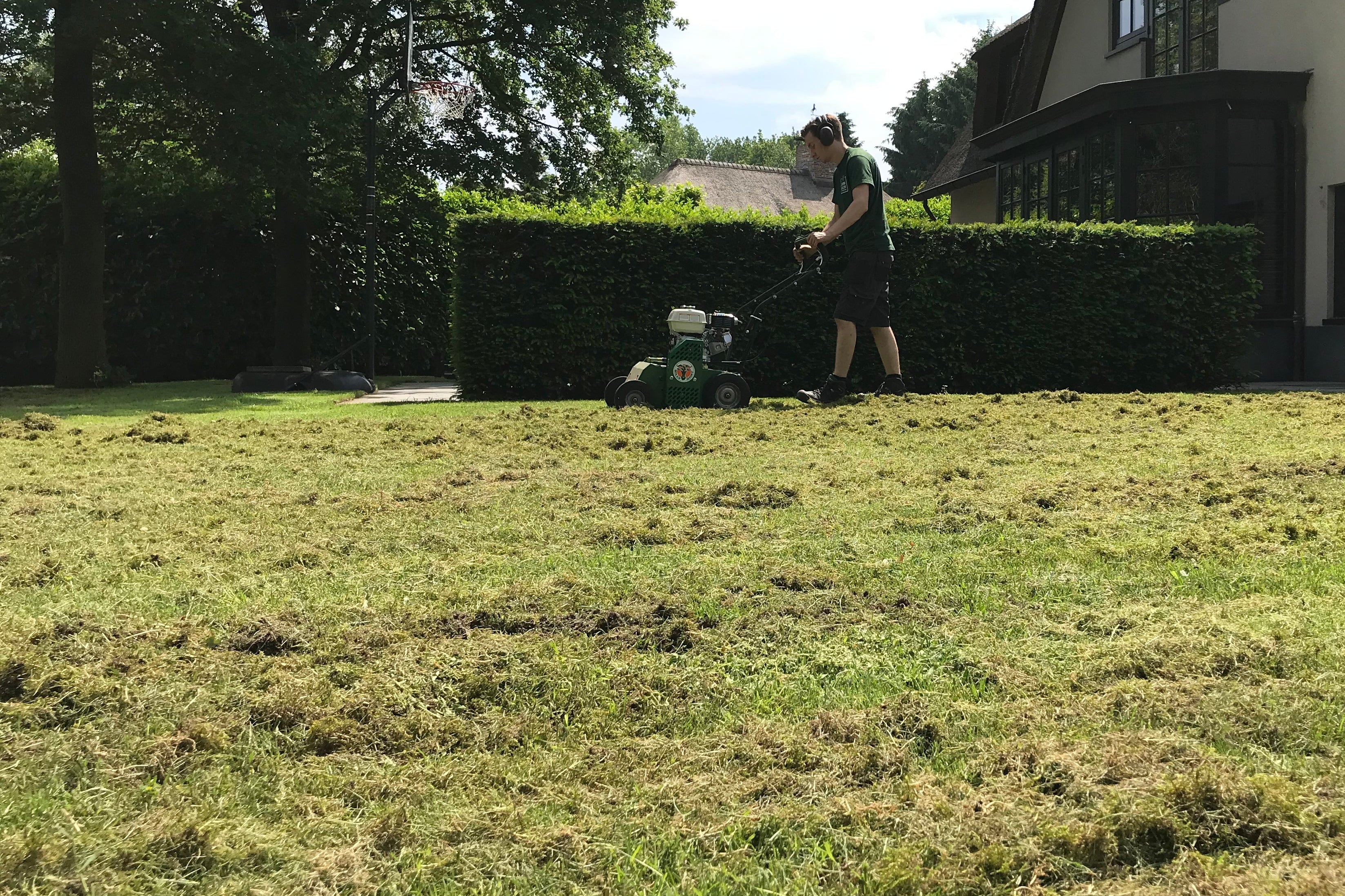 Grastastisch